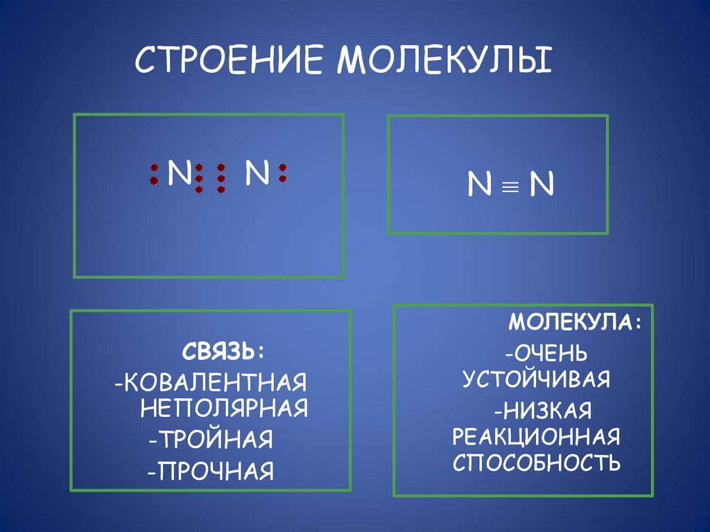 СТРОЕНИЕ МОЛЕКУЛЫ