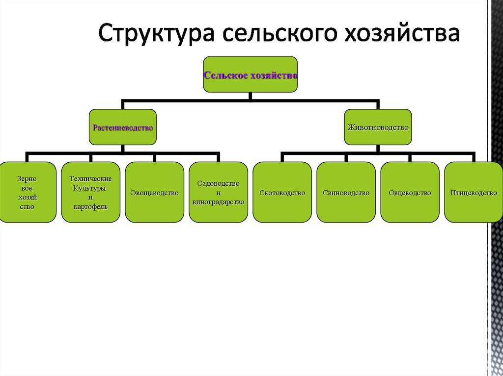 Структура сельского хозяйства