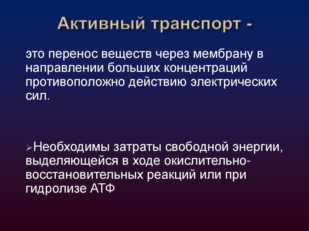 Фазы генерации потенциала действия