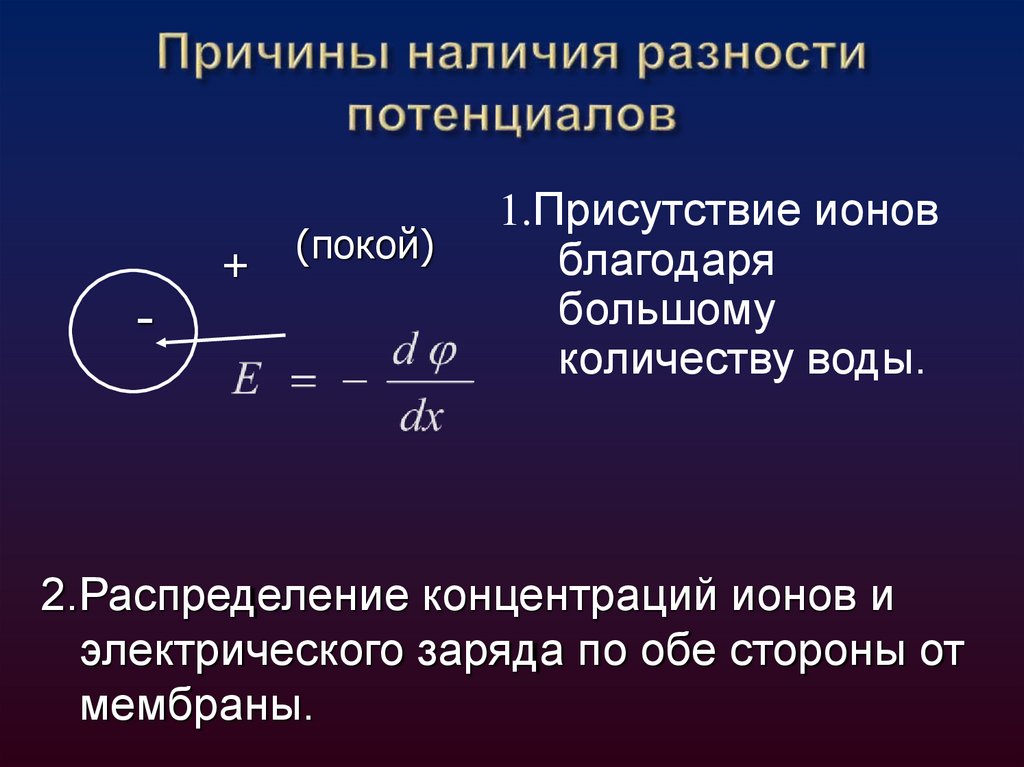 Причины наличия разности потенциалов