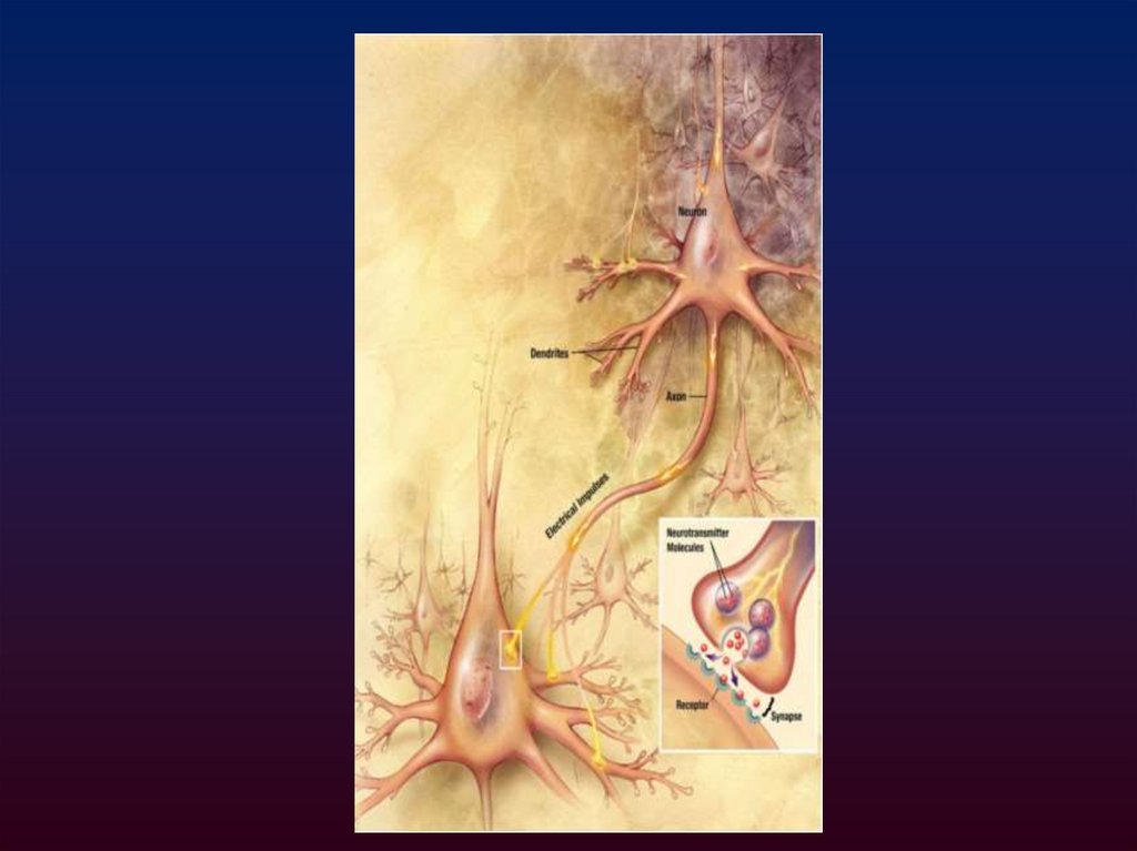 Время генерации ПД
