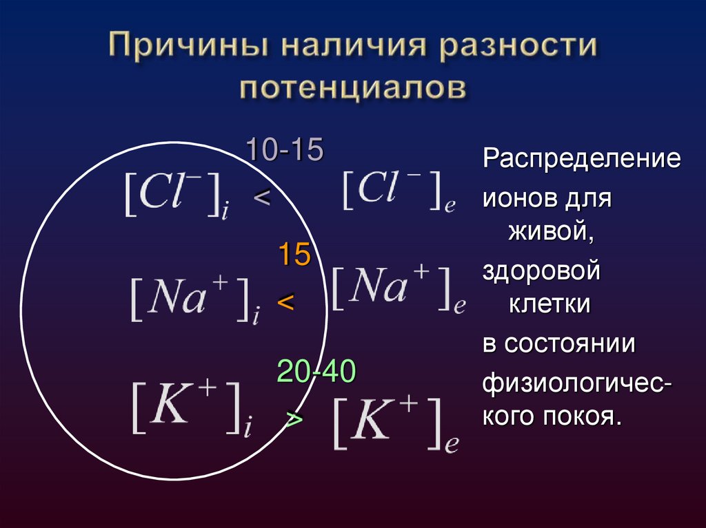 Причины наличия разности потенциалов