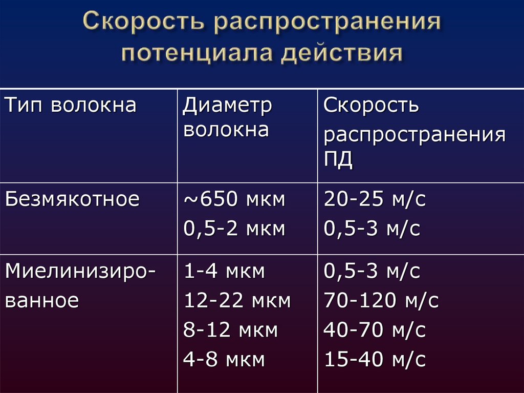 Скорость распространения возбуждения по нервным волокнам