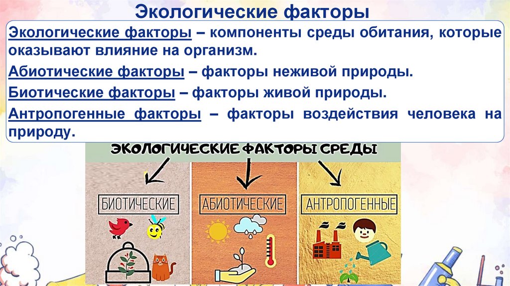 Экологические факторы