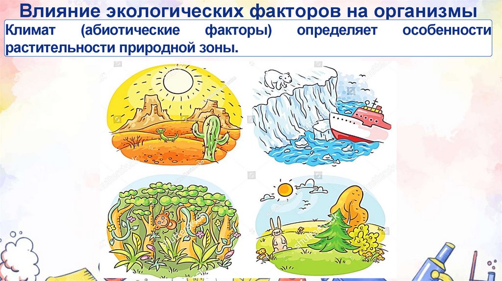 Влияние экологических факторов на организмы