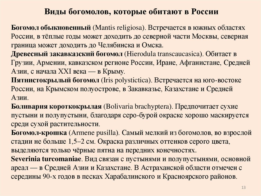 Виды богомолов, которые обитают в России