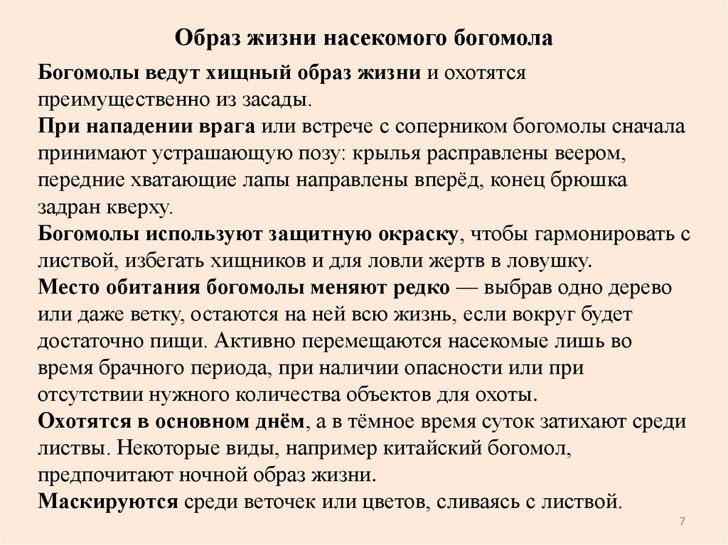 Образ жизни насекомого богомола
