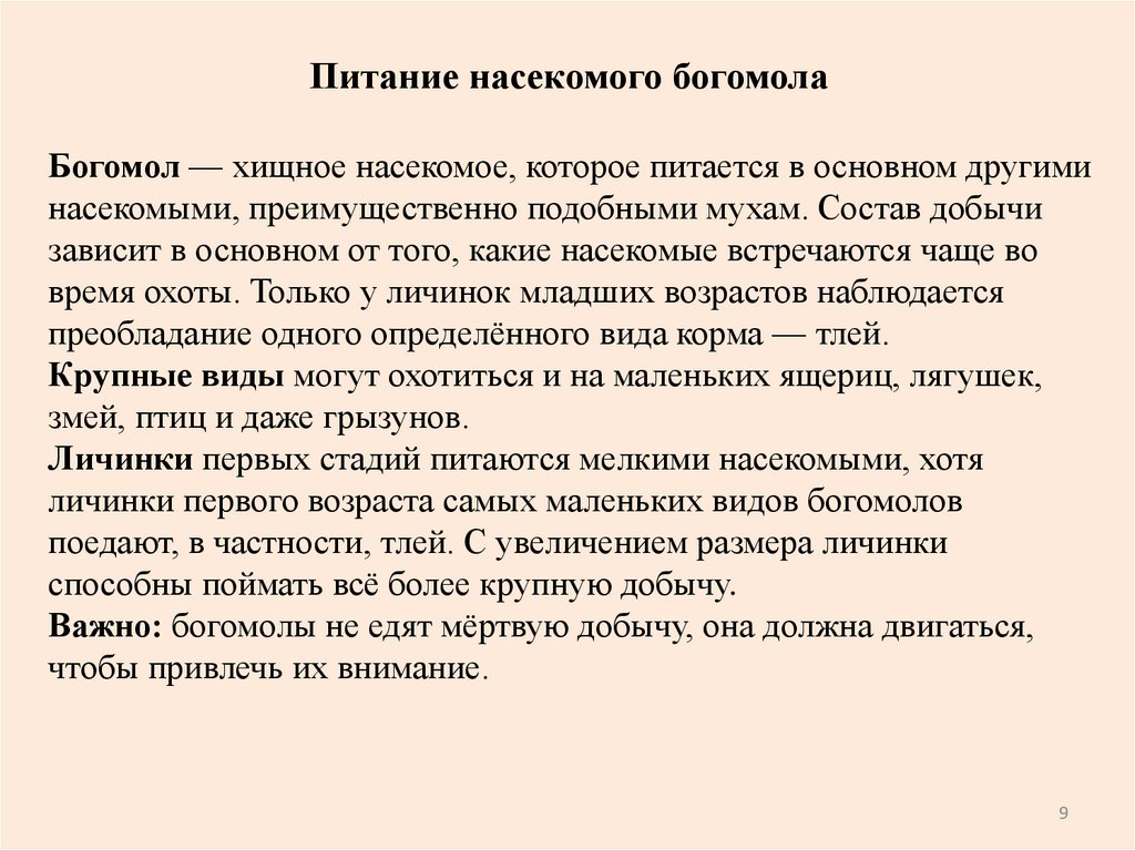 Питание насекомого богомола