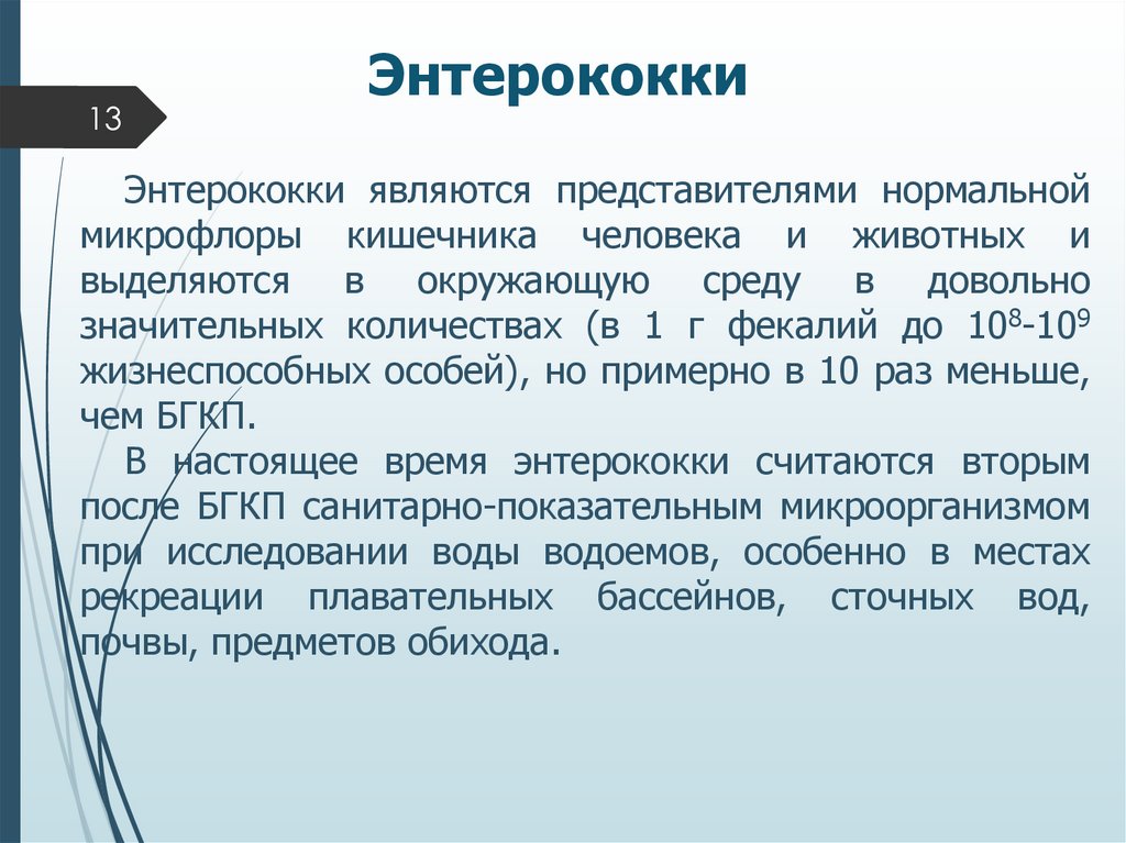 Энтерококки