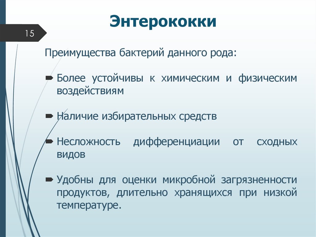 Энтерококки