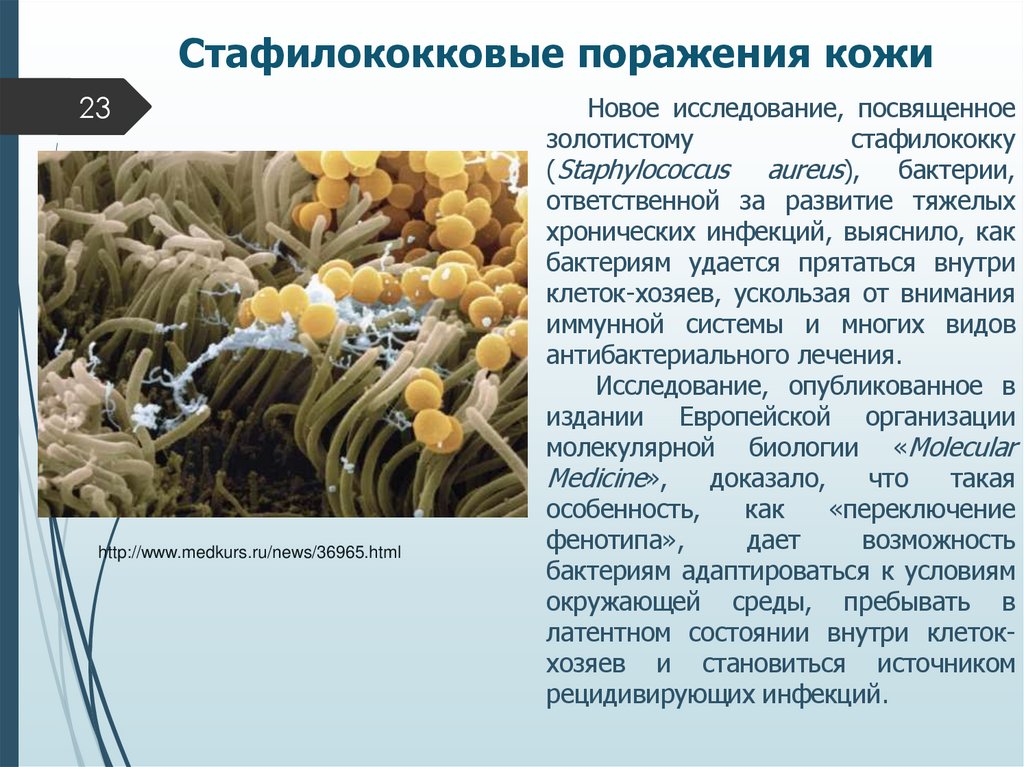Стафилококковые поражения кожи