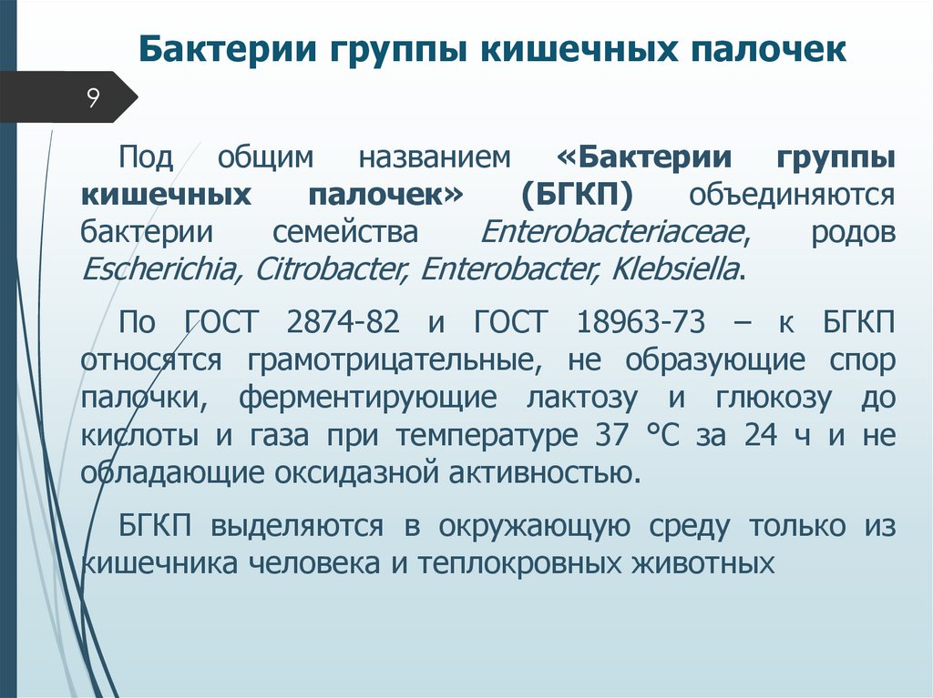 Бактерии группы кишечных палочек