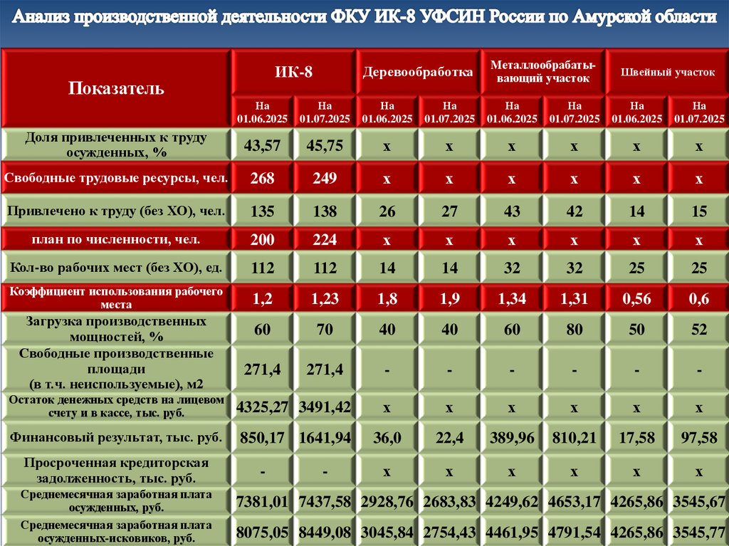 Анализ производственной деятельности ФКУ ИК-8 УФСИН России по Амурской области