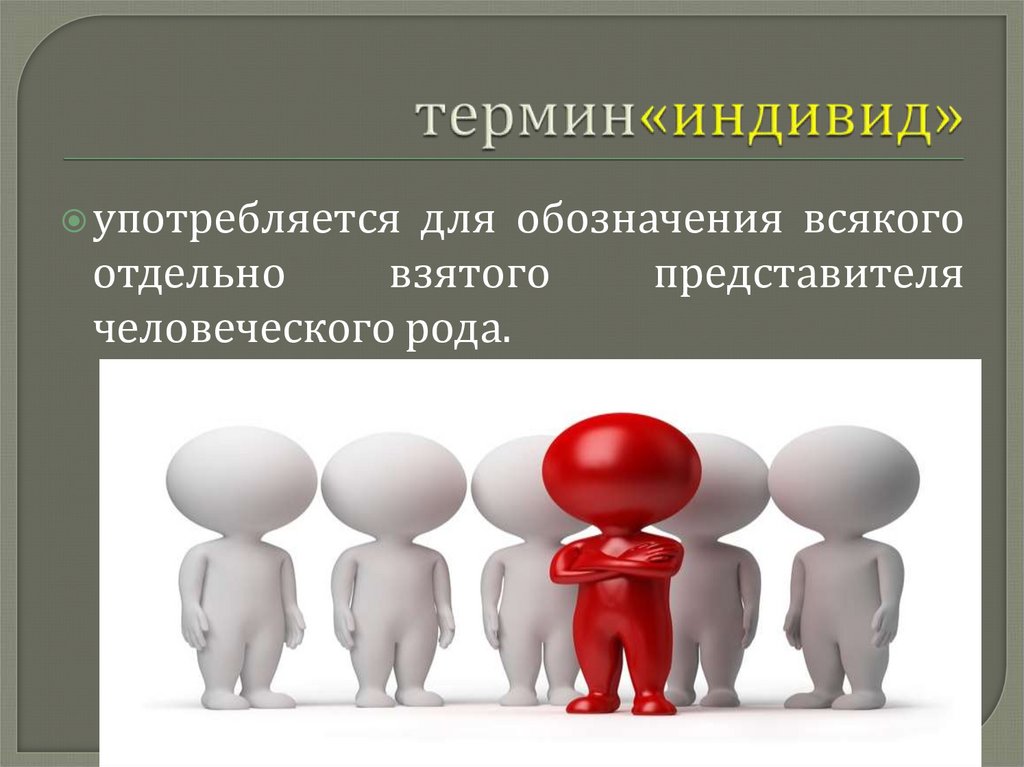 термин«индивид»