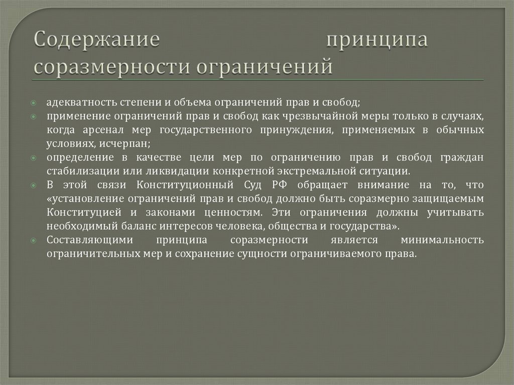 Содержание принципа соразмерности ограничений