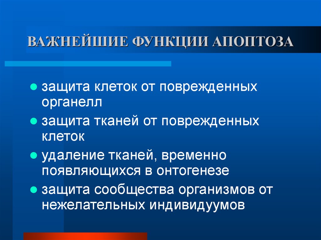 ВАЖНЕЙШИЕ ФУНКЦИИ АПОПТОЗА