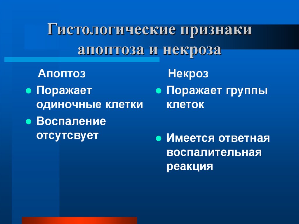 Гистологические признаки апоптоза и некроза