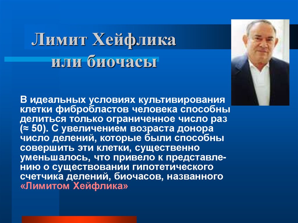 Лимит Хейфлика или биочасы