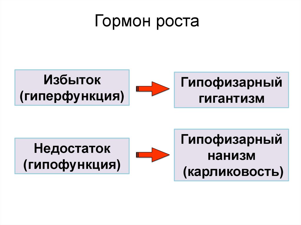 Гормон роста