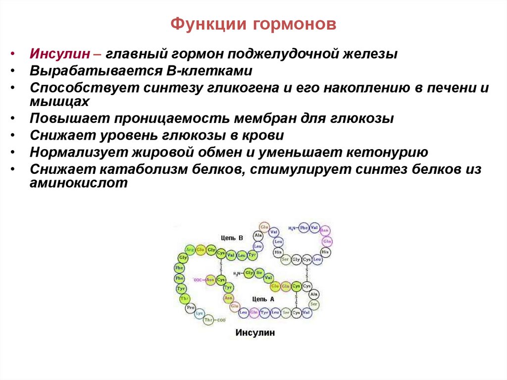 Функции гормонов