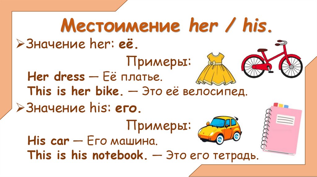 Местоимение her / his.