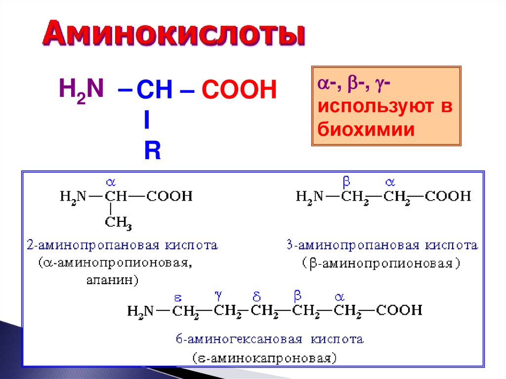 Аминокислоты