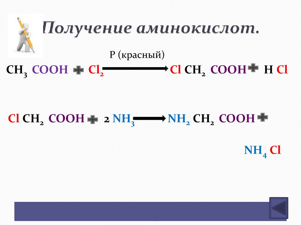 Получение аминокислот.