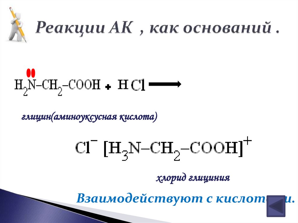 Реакции АК , как оснований .
