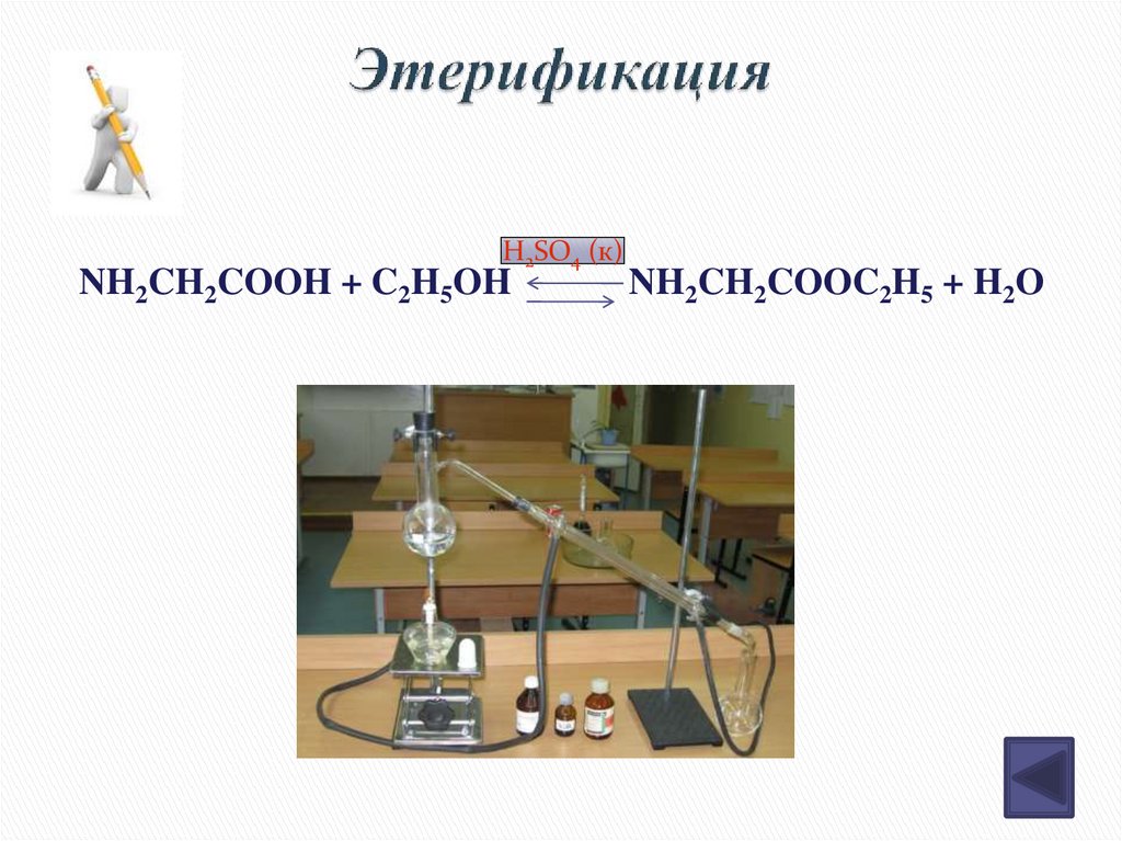 Этерификация