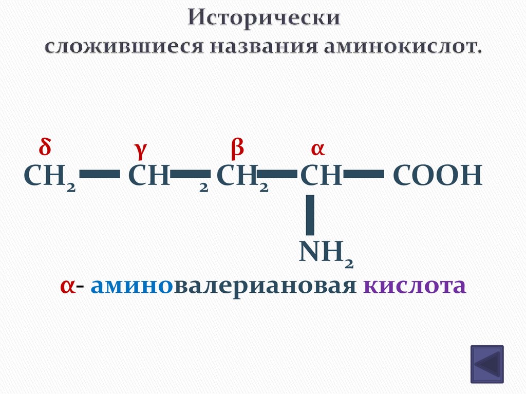 Исторически сложившиеся названия аминокислот.