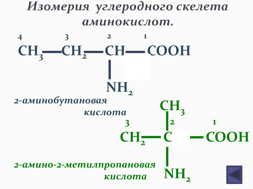 Изомерия углеродного скелета аминокислот.