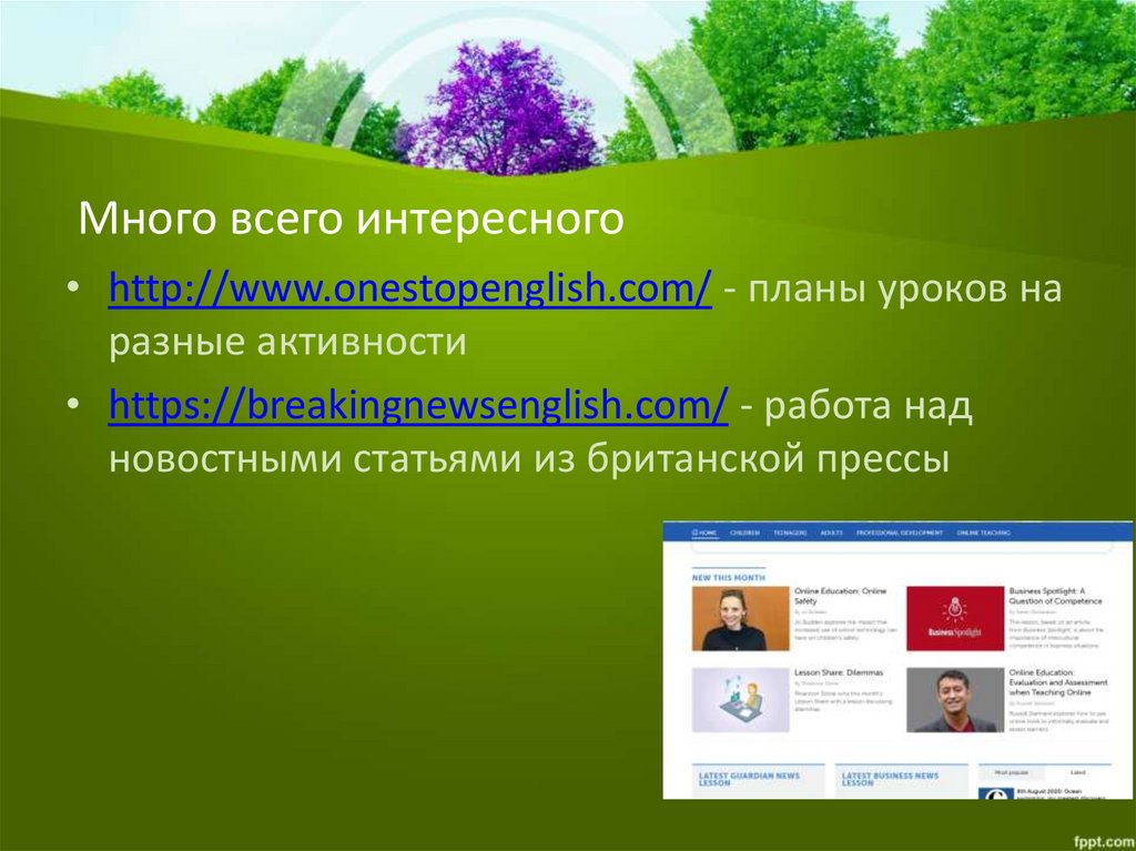 Много всего интересного