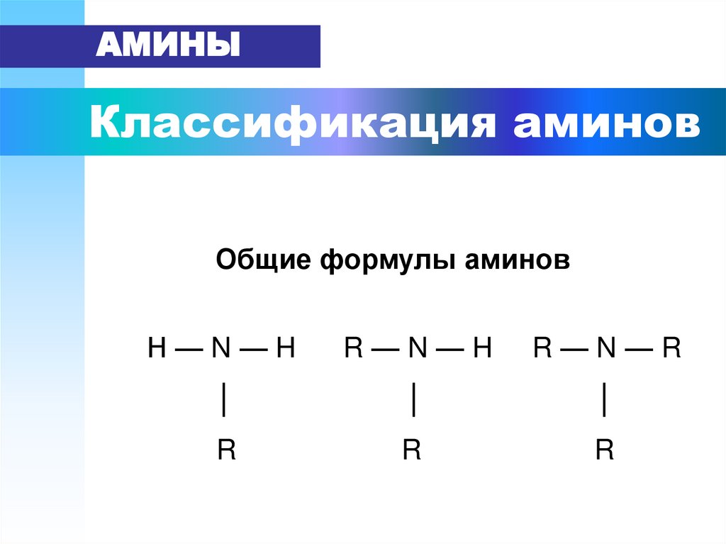 Классификация аминов