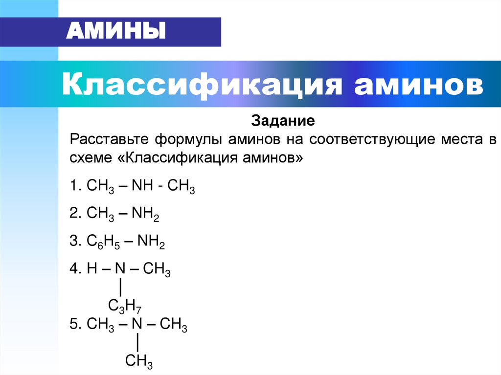 Классификация аминов