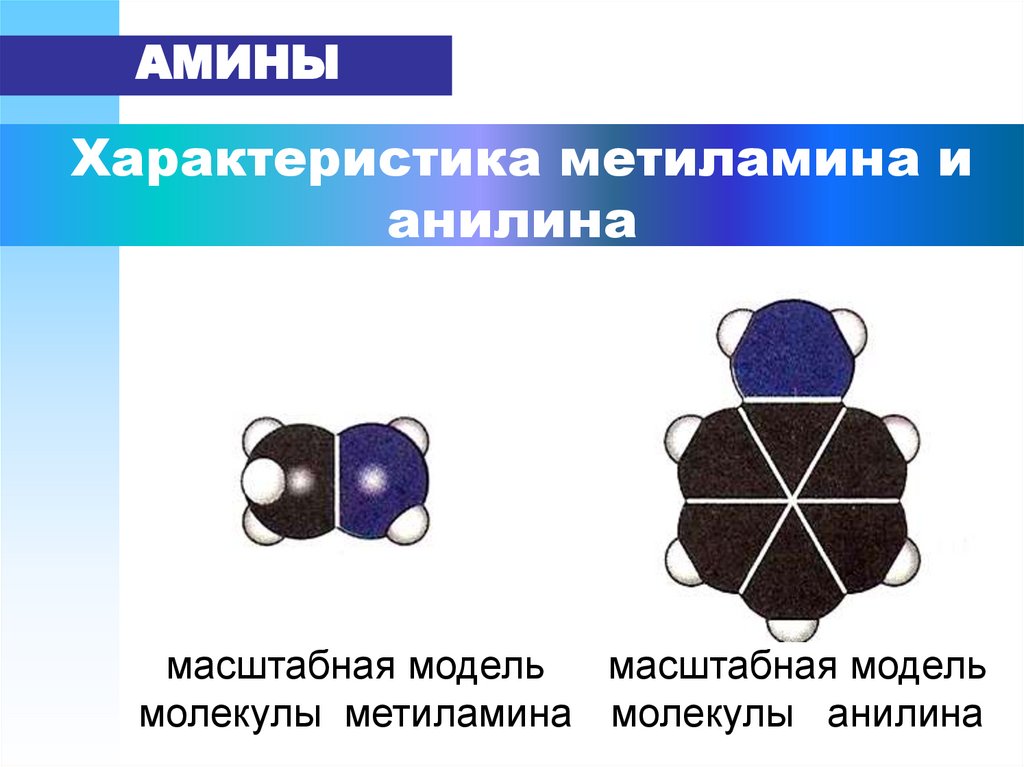 Характеристика метиламина и анилина
