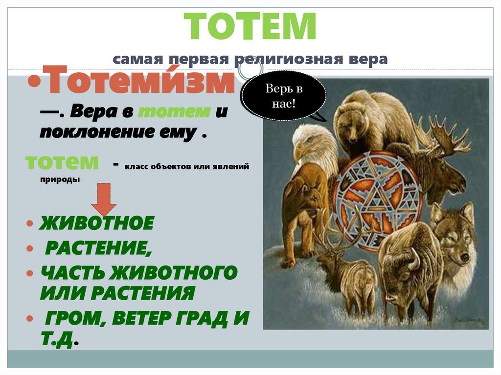 ТОТЕМ самая первая религиозная вера