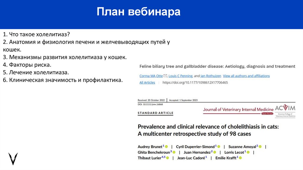 План вебинара