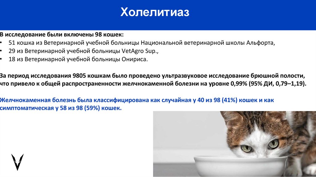 Холелитиаз