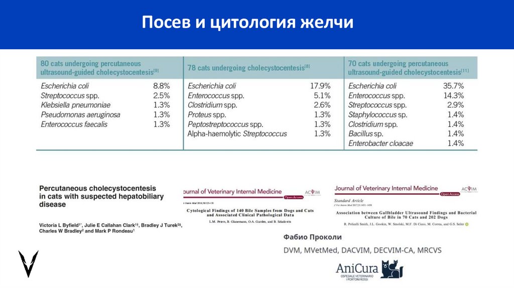 Посев и цитология желчи