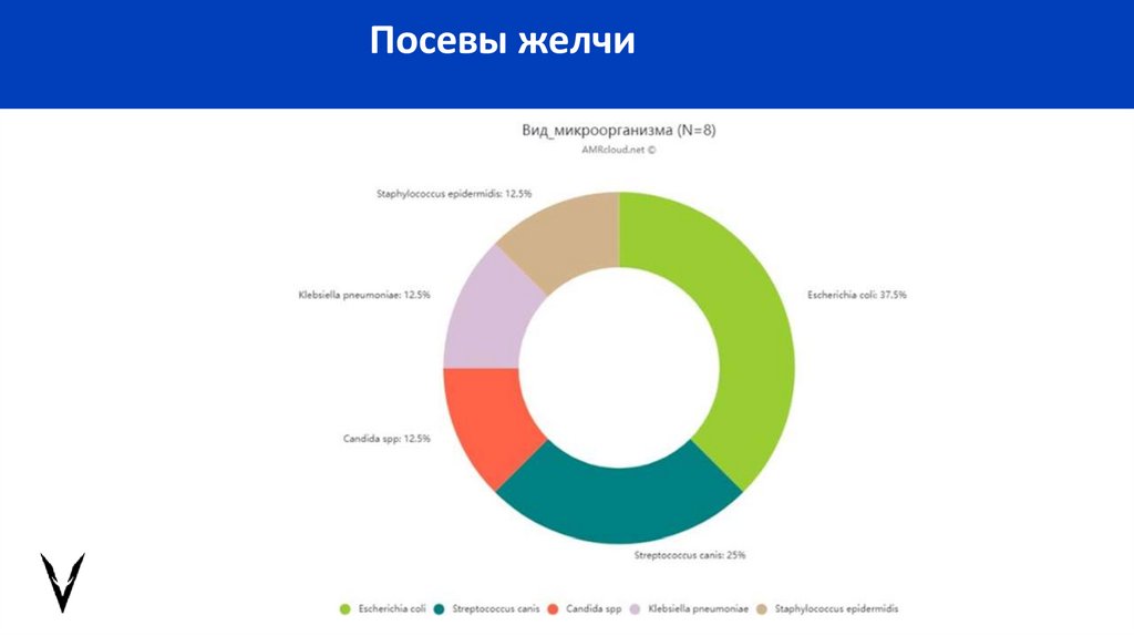 Посевы желчи