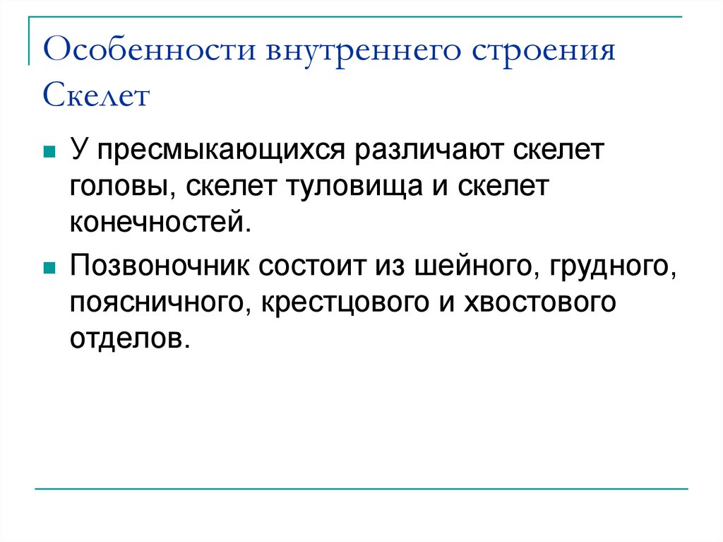 Особенности внутреннего строения Скелет