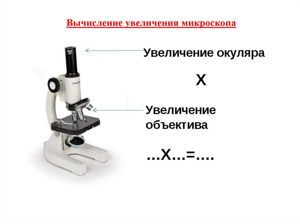 Вычисление увеличения микроскопа