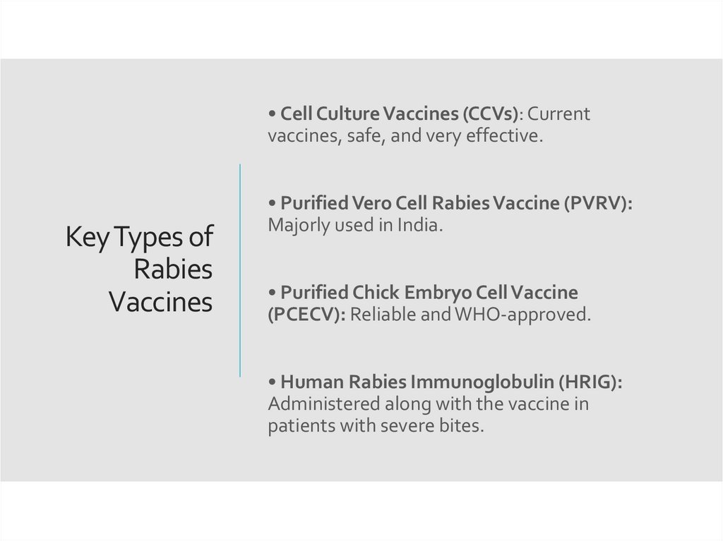 Key Types of Rabies Vaccines