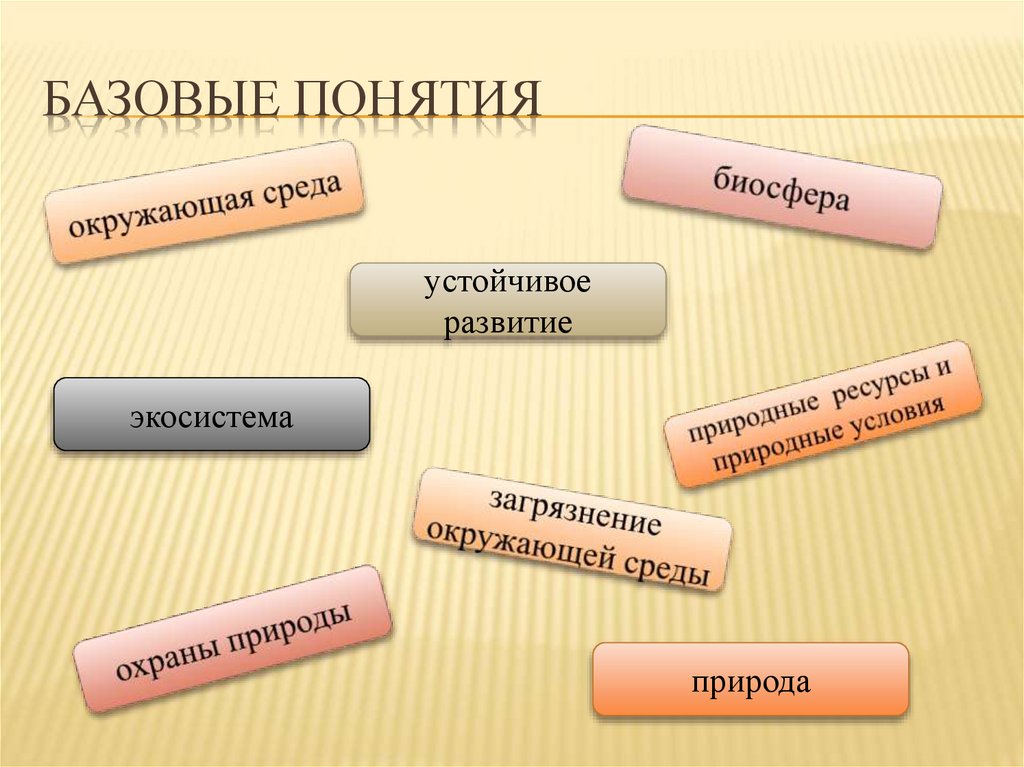 Базовые понятия