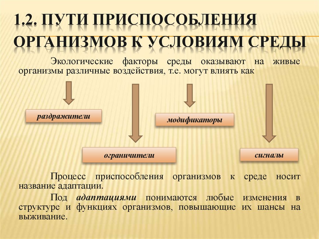 1.2. Пути приспособления организмов к условиям среды