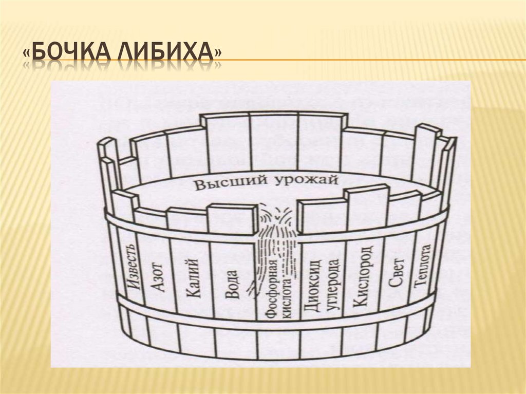 «Бочка Либиха»