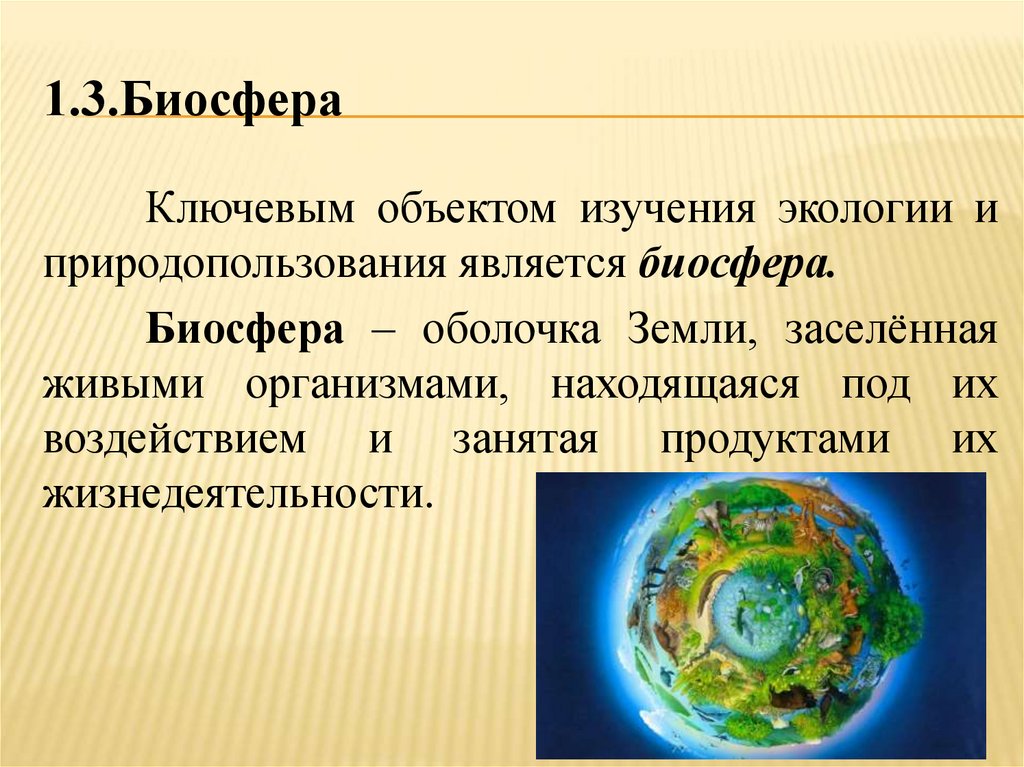 1.3.Биосфера