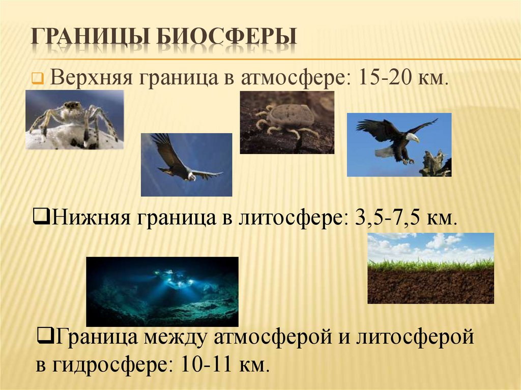 Границы биосферы