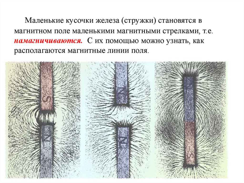 Маленькие кусочки железа (стружки) становятся в магнитном поле маленькими магнитными стрелками, т.е. намагничиваются. С их