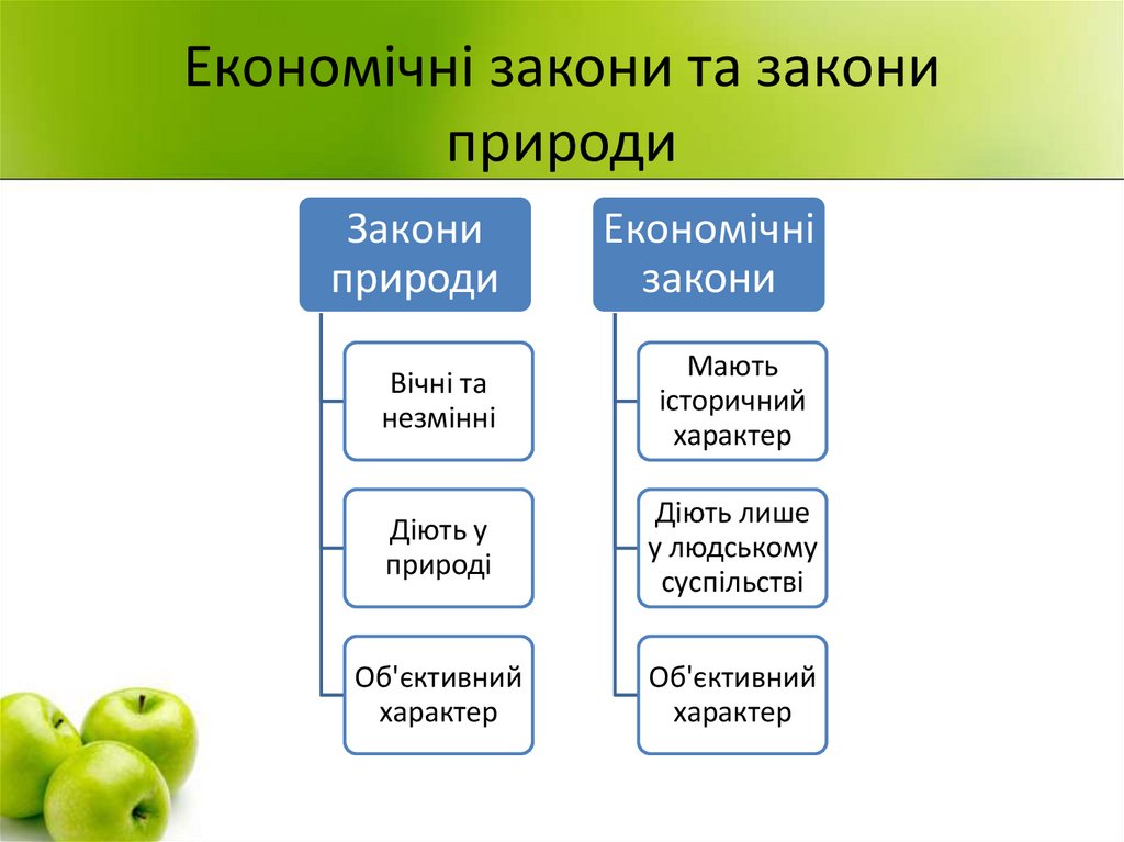 Економічні закони та закони природи